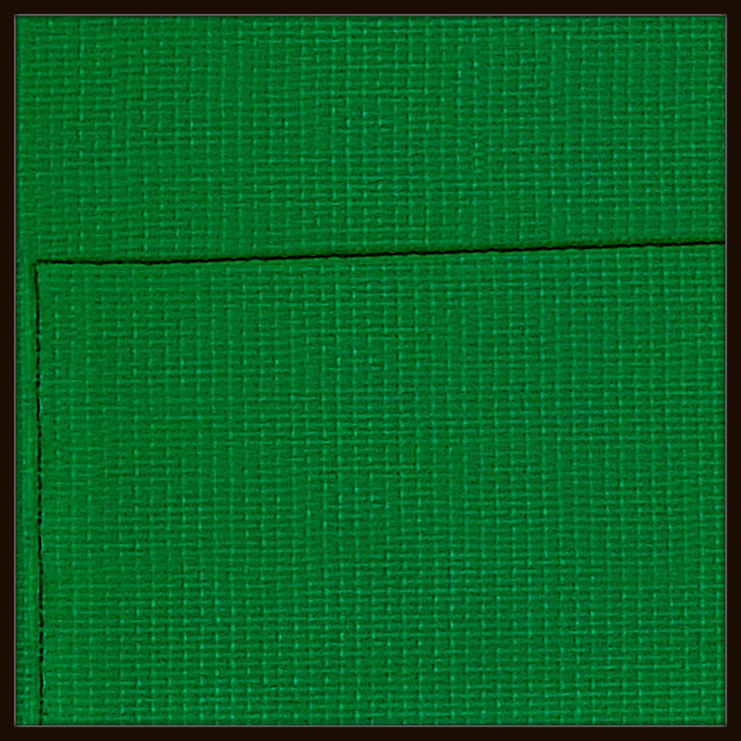 Rubans Vert - Ecke links # 2025.10 - © Diana Hommel