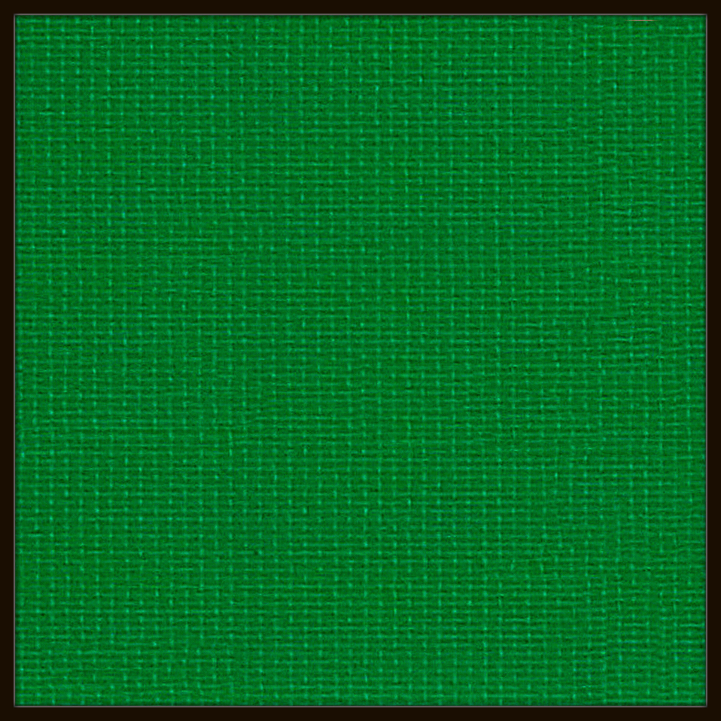 Rubans Vert - Uni # 2025.10 - © Diana Hommel