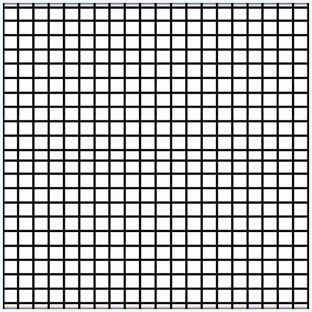 Grille II # 2025.10   - © Diana Hommel