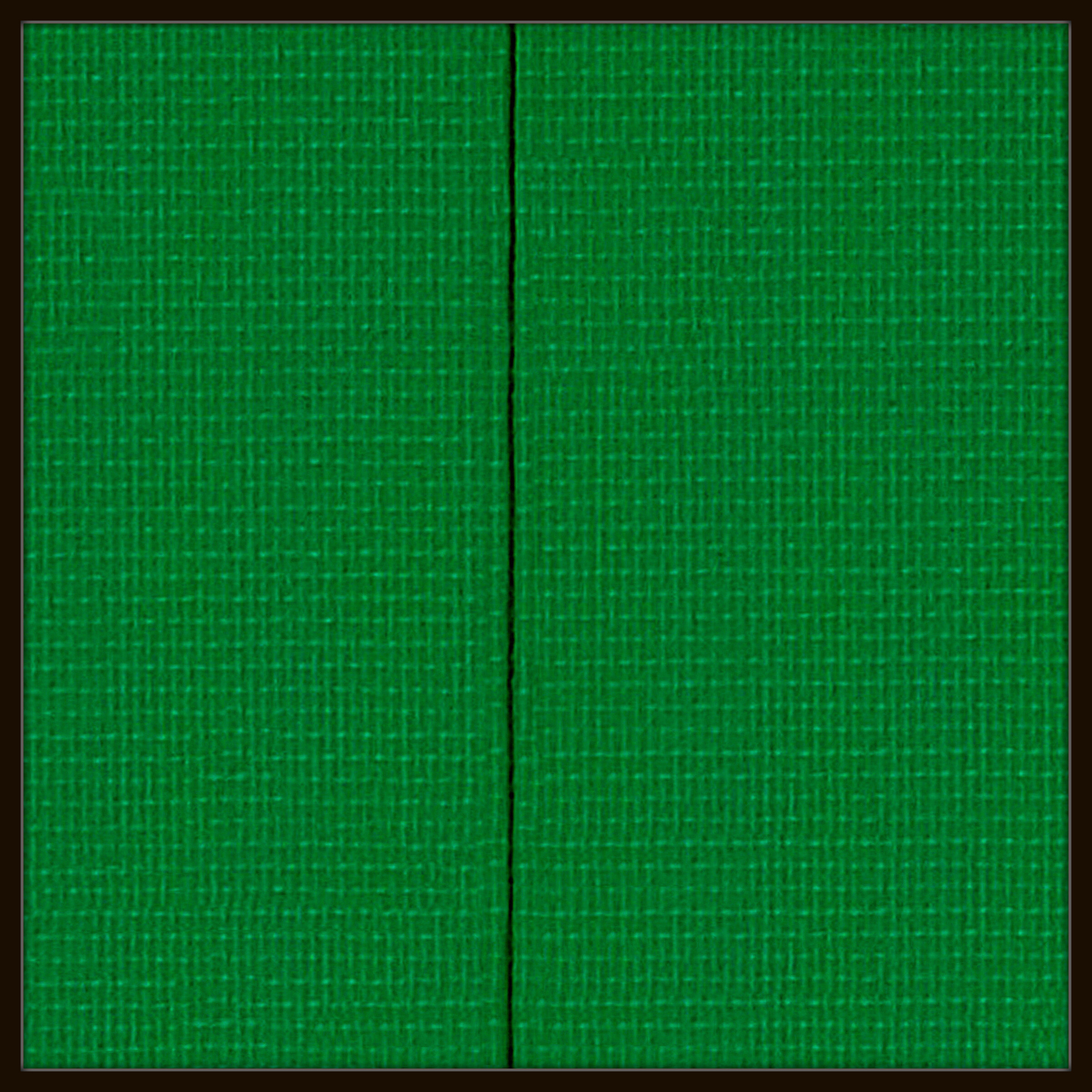 Rubans Vert - 1 Linie # 2025.10 - © Diana Hommel