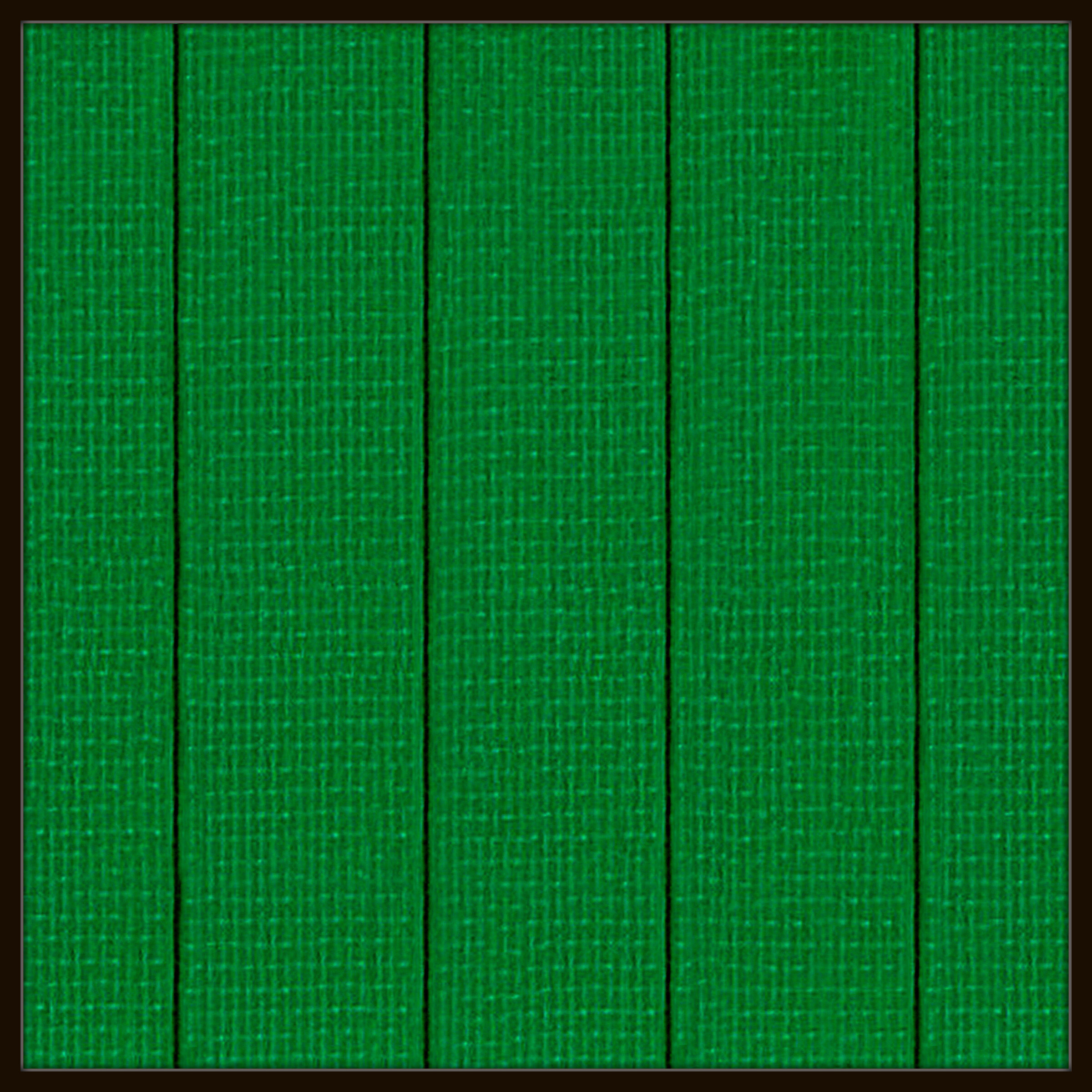 Rubans Vert # 2025.10   - © Diana Hommel