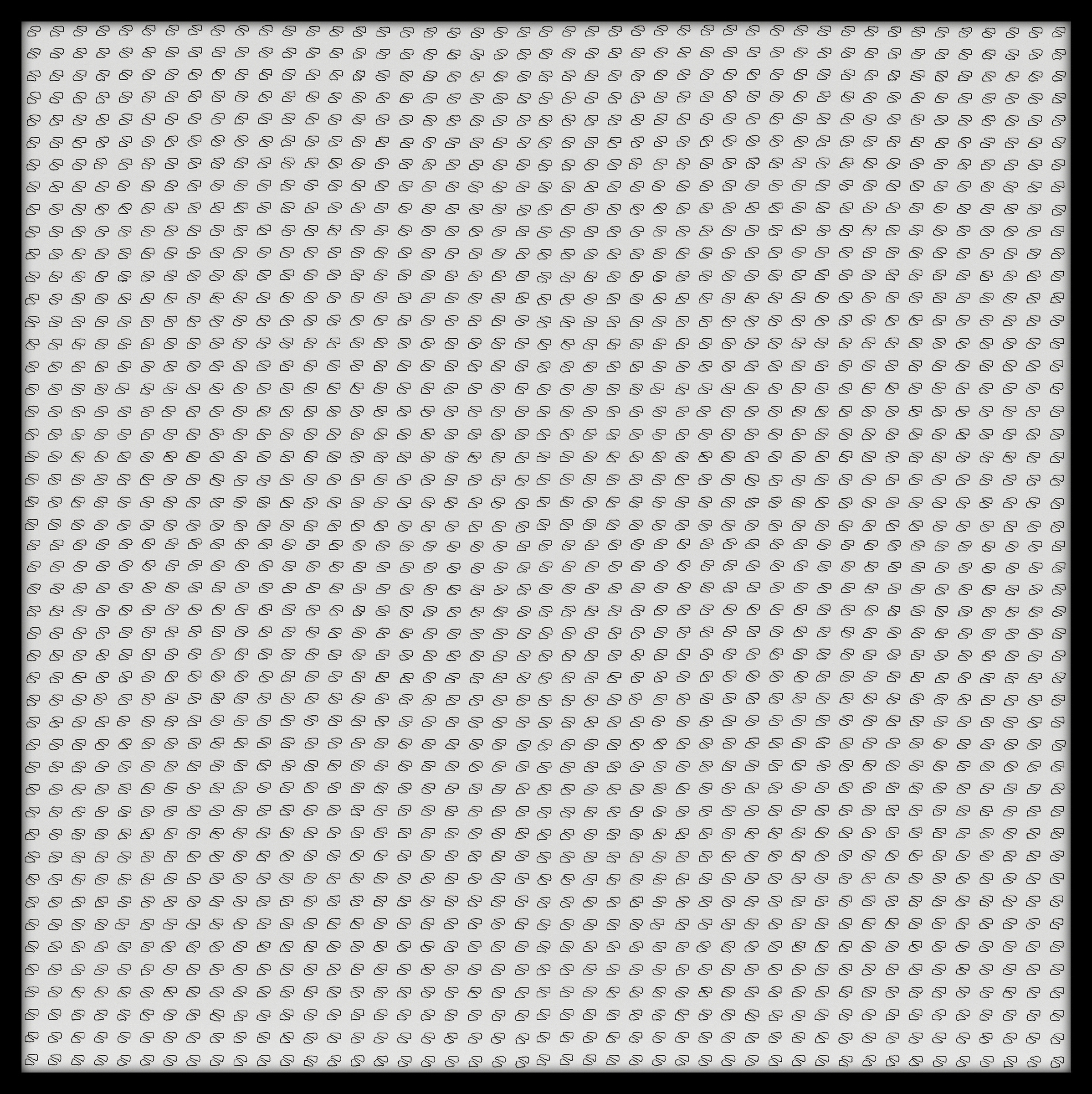 Bannière, Unie # 2025.11   - © Diana Hommel